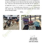 भारततर्फ लैजाँदै गरिएका ११ वटा बाख्रा बरामद भारततर्फ लैजाँदै गरिएका ११ वटा बाख्रा बरामद